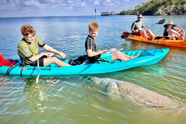 Dolphin and Manatee Stand Up Paddleboard Tour in Daytona Beach - Photo 1 of 20